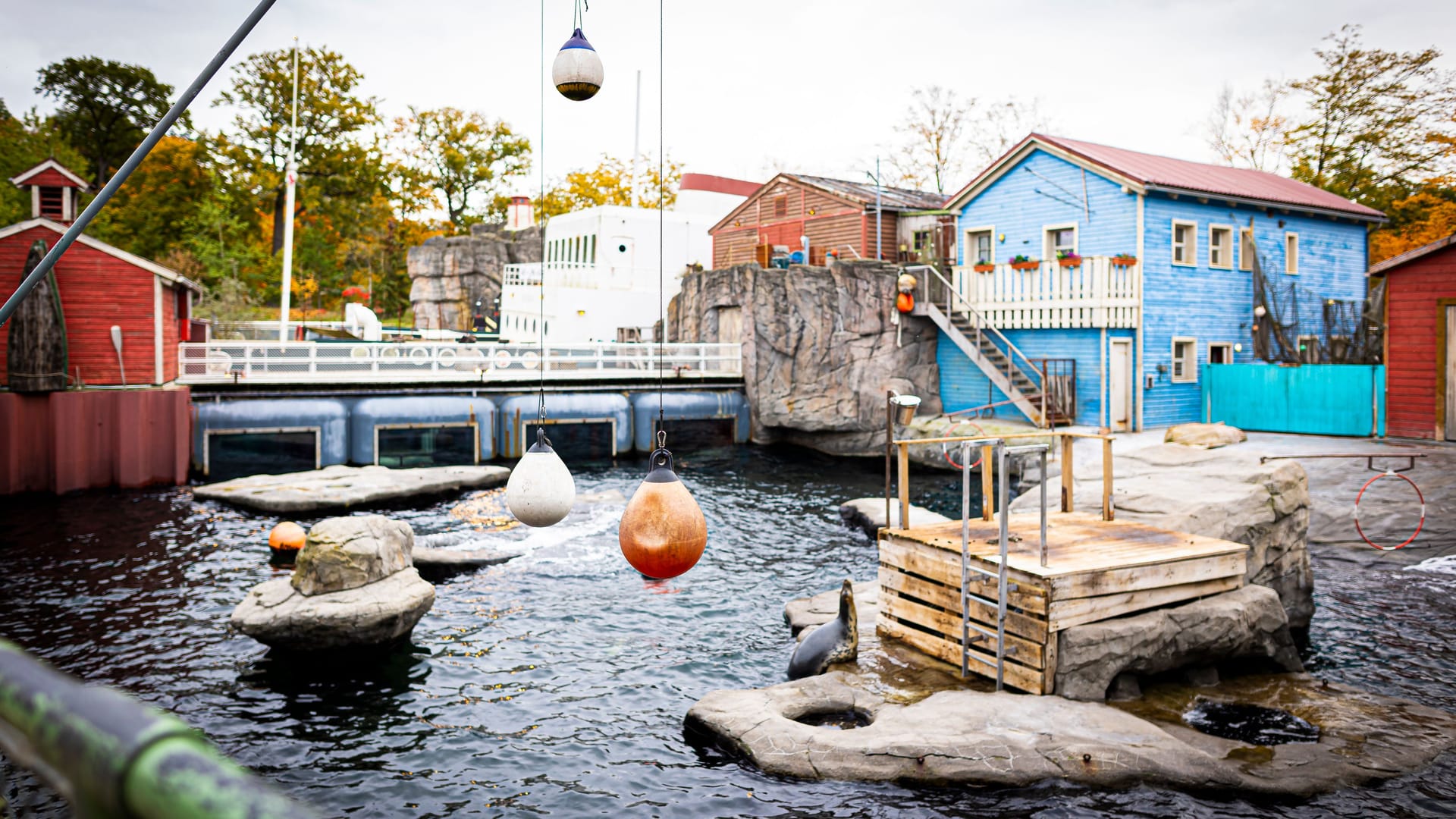 Ein Wasserbecken mit Wellenanlage liegt im Bereich "Yukon Bay" (Archivbild): Auch der Erlebnis-Zoo muss Energie sparen