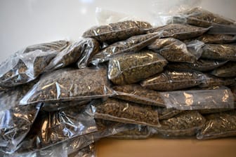 Beschlagnahmtes Marihuana (Symbolfoto): Der Fund der Drogen war eher dem Zufall geschuldet.