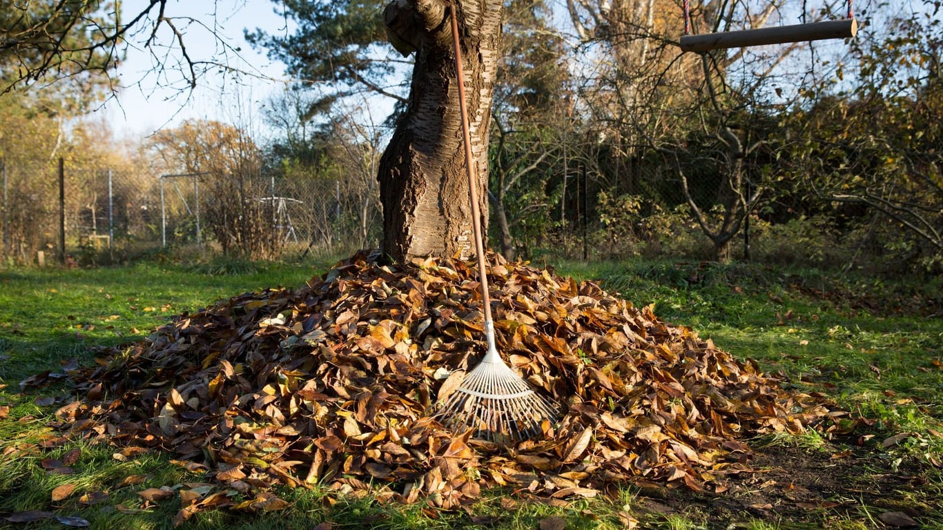 Reich an Nährstoffen: Wir das Herbstlaub kompostiert, kann es als neue Erde oder Dünger genutzt werden.