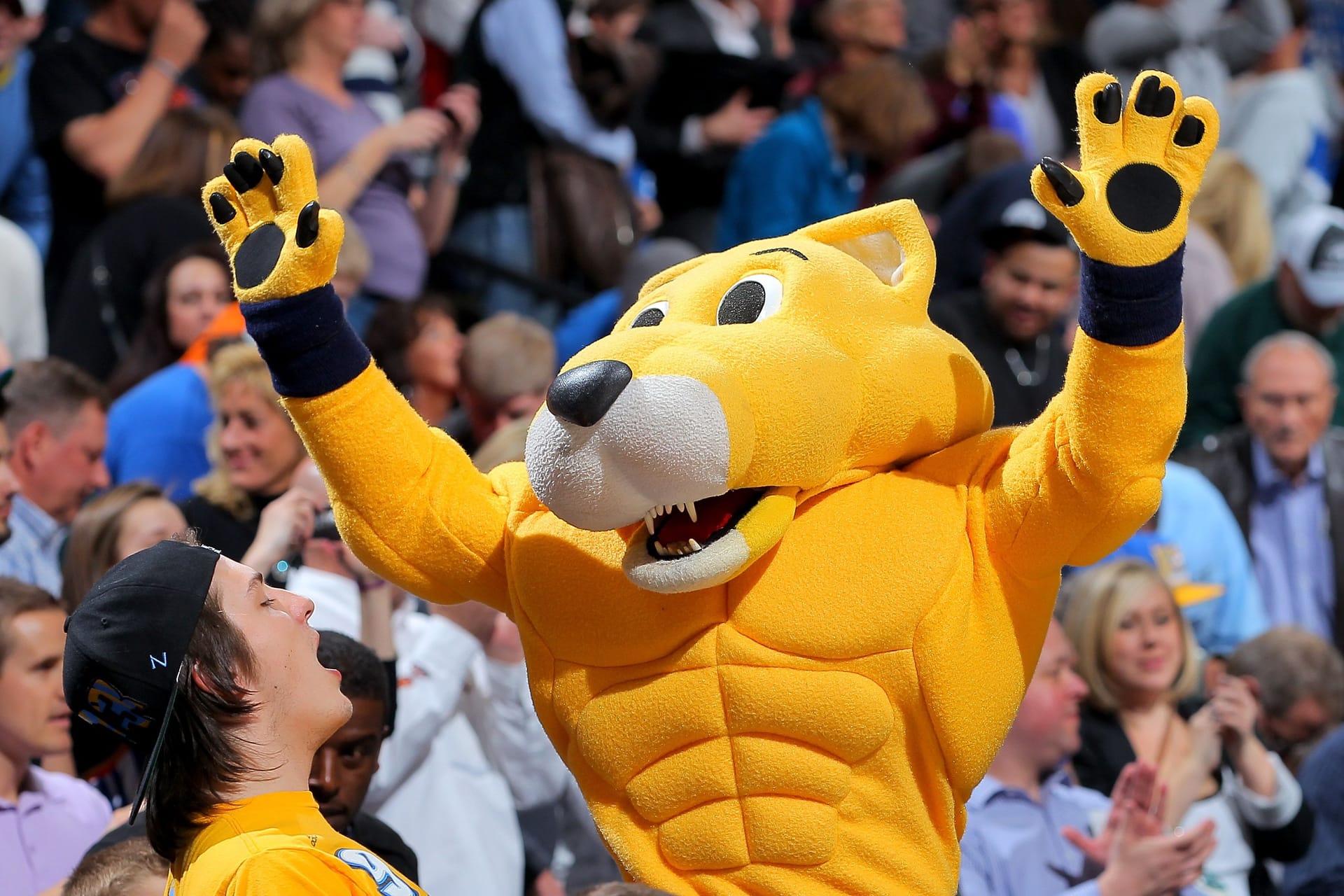 Das ist das wohl bestbezahlte Maskottchen der Welt: Rocky the Mountain Lion