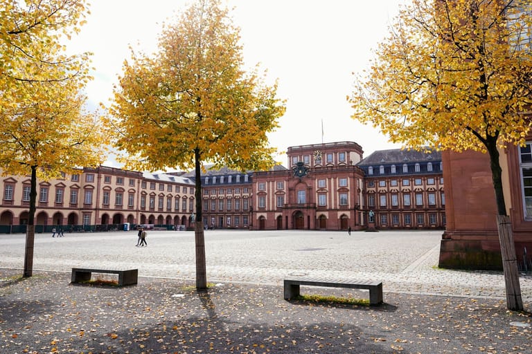 Historisches Barockschloss: Wo früher Kurfürsten residierten, befindet sich heute die Universität der Stadt.