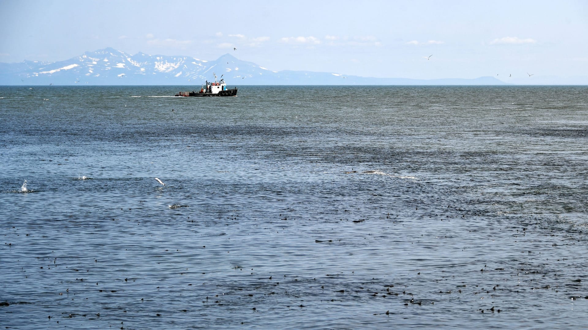 Das Beringmeer von Russland aus gesehen: Zwei Russen haben sich über die Meeresstraße in die USA abgesetzt. Das Beringmeer von Russland aus gesehen: Zwei Russen haben sich über die Meeresstraße in die USA abgesetzt.