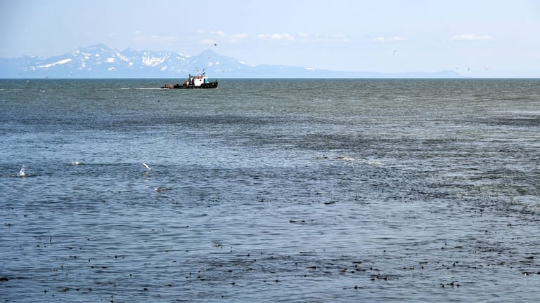Das Beringmeer von Russland aus gesehen: Zwei Russen haben sich über die Meeresstraße in die USA abgesetzt.