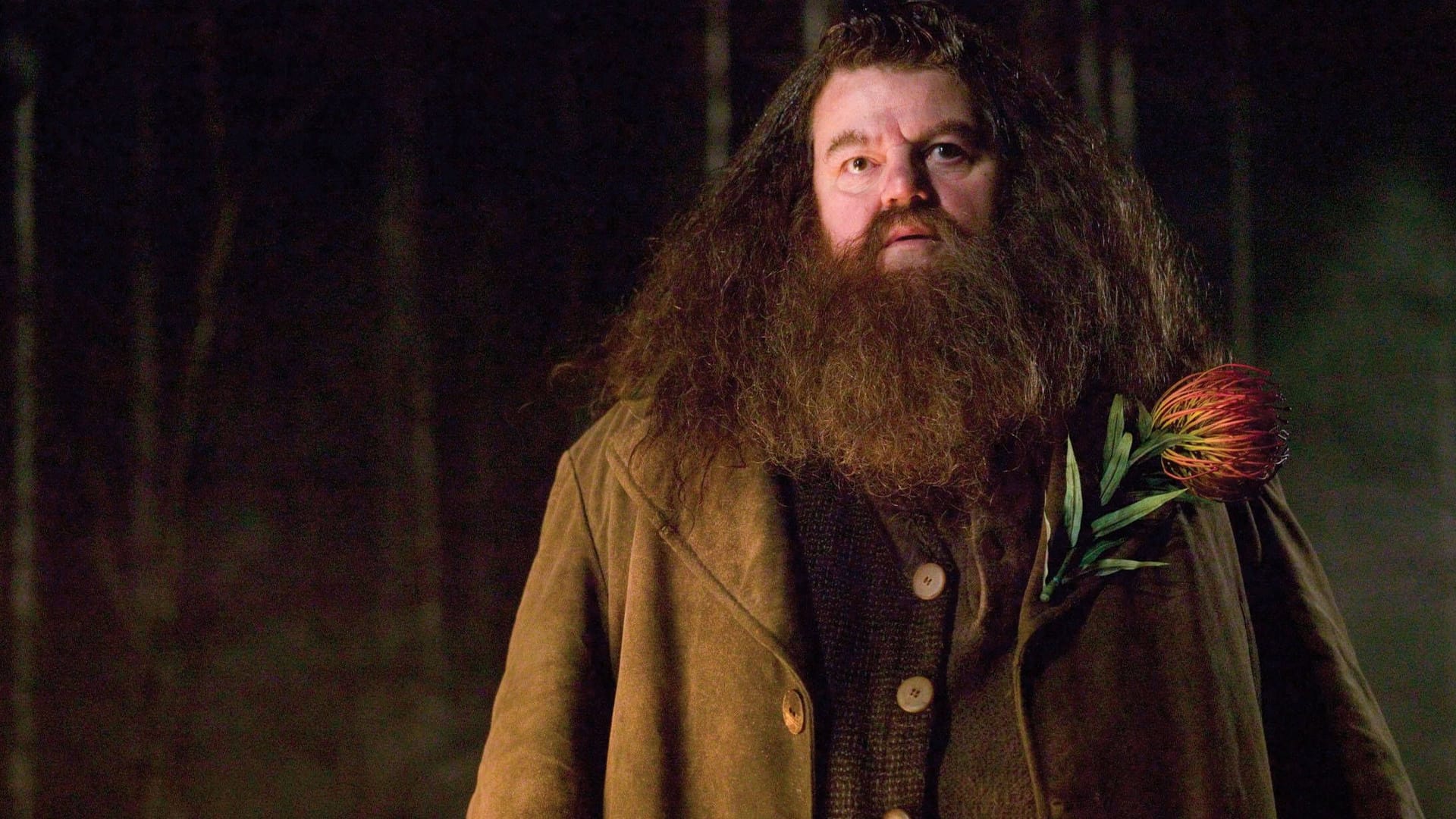 Robbie Coltrane als Hagrid: Der Schauspieler starb vergangene Woche mit 72 Jahren.