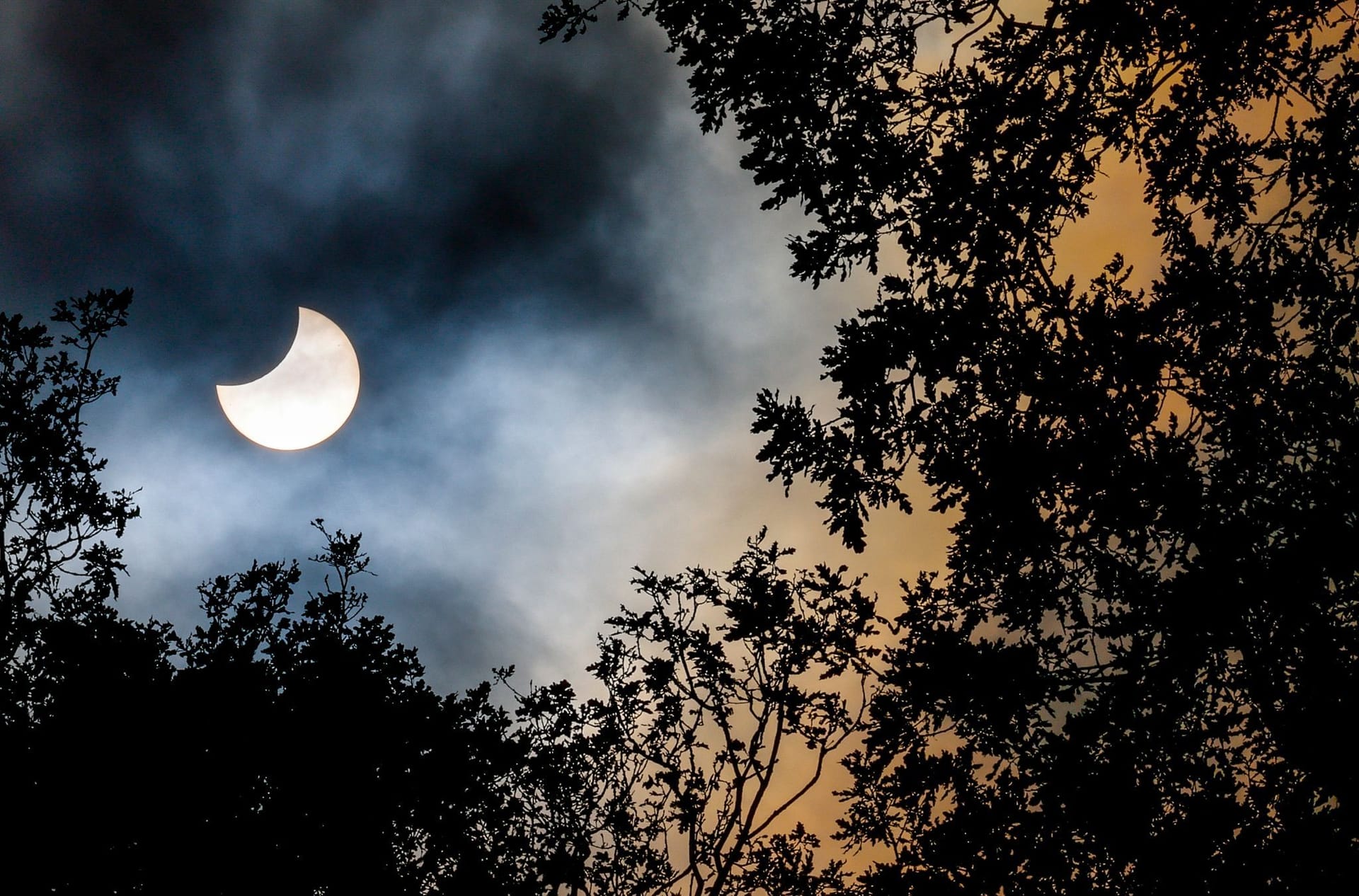 Über dem Hamburger Stadtpark glich die Sonne einer Mondsichel: Das Naturspektakel endet erst um 15.02 Uhr in Indien.