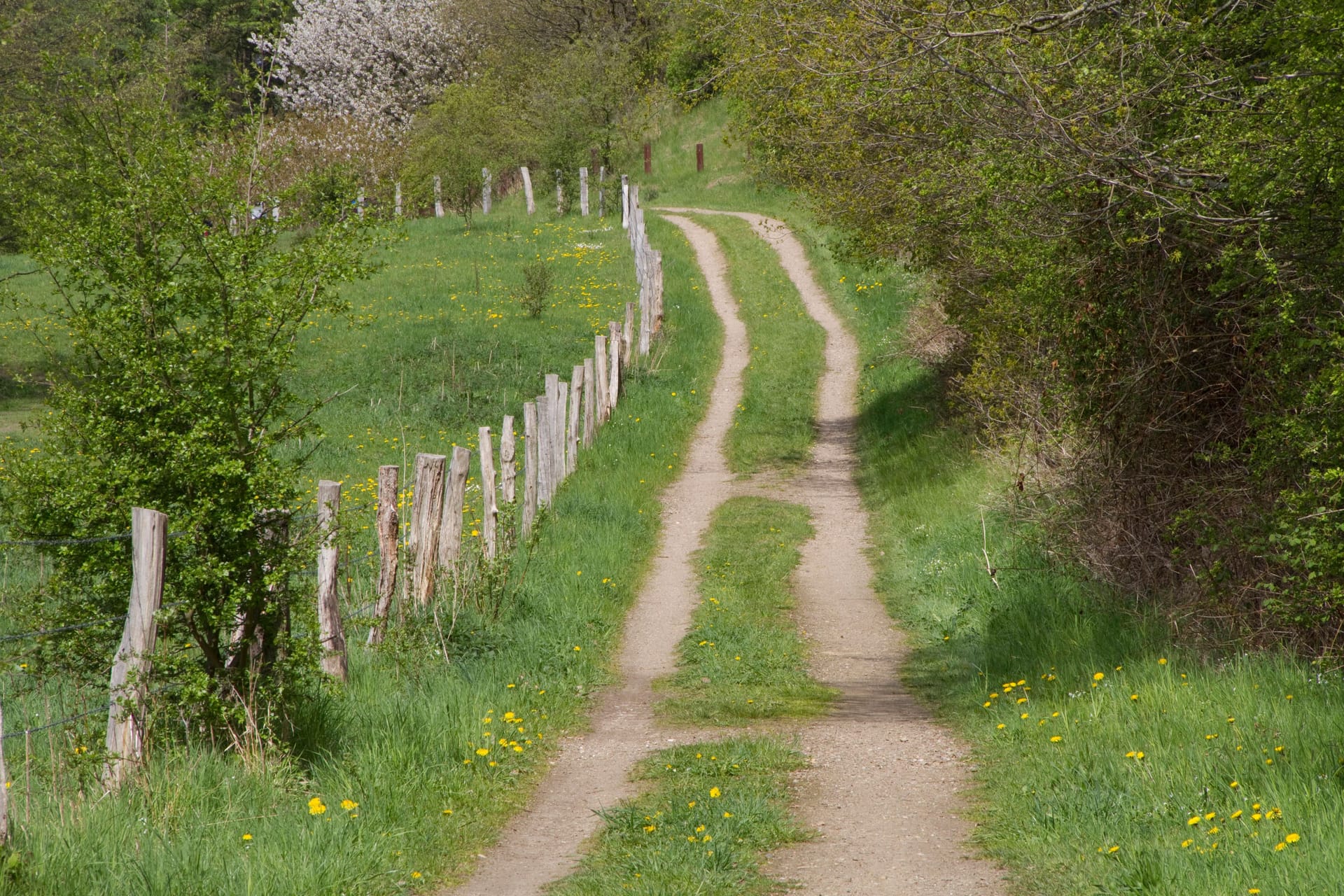 Ein Feldweg (Symbolbild): Das Mädchen war alleine unterwegs, als der Täter sie ansprach.