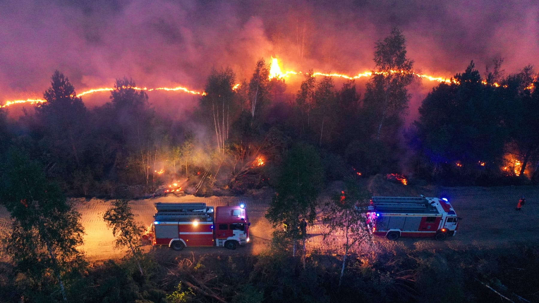 В каких областях пожар. Лесные пожары. Пожары в Рязанской области. Массовый пожар. Лесные пожары в Рязани.