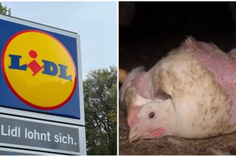 Lidl hat eine umfassende Aufklärung der Vorwürfe gegen einen Hähnchen-Lieferanten wegen mutmaßlicher Verstöße gegen das Tierschutzgesetz zugesichert. (Montage)