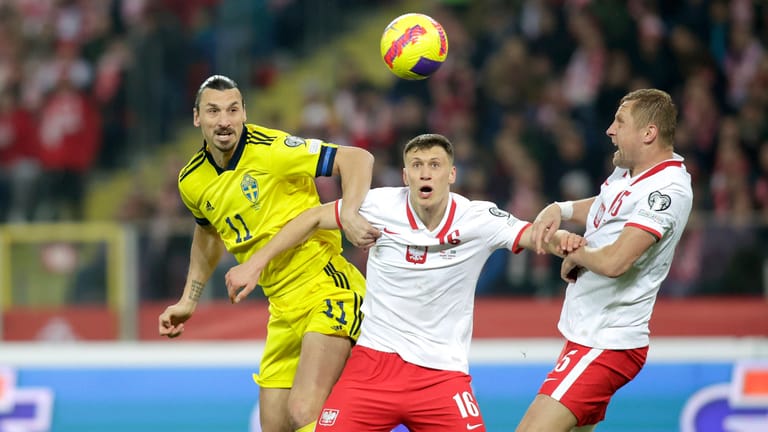 Zlatan Ibrahimović: Der Schwede musste sich zuletzt einer Knie-Operation unterziehen und soll in diesem Jahr nicht mehr zum Einsatz kommen.