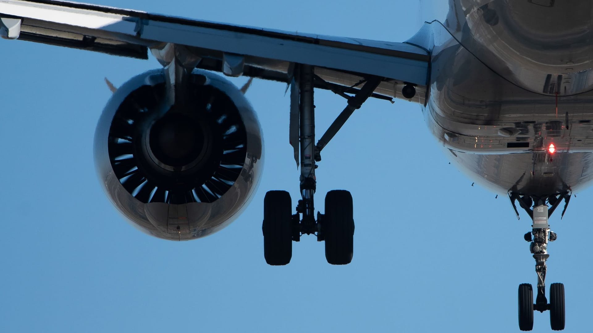 Mitarbeiter entdeckten in einem Fahrwerkschacht eines Flugzeugs eine Leiche.