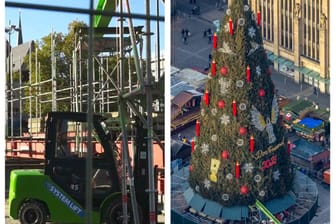 Der Aufbau des Mega-Baumes hat gestartet: 1.700 Fichten werden für einen Baum zusammengefügt.