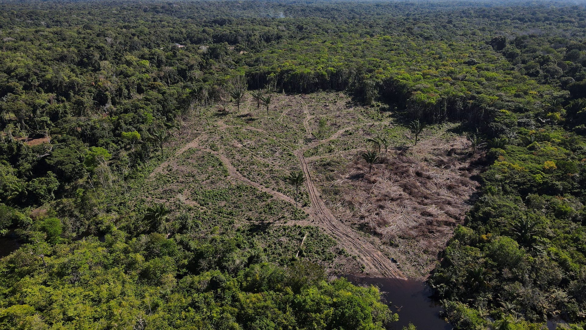 BRAZIL-ENVIRONMENT/