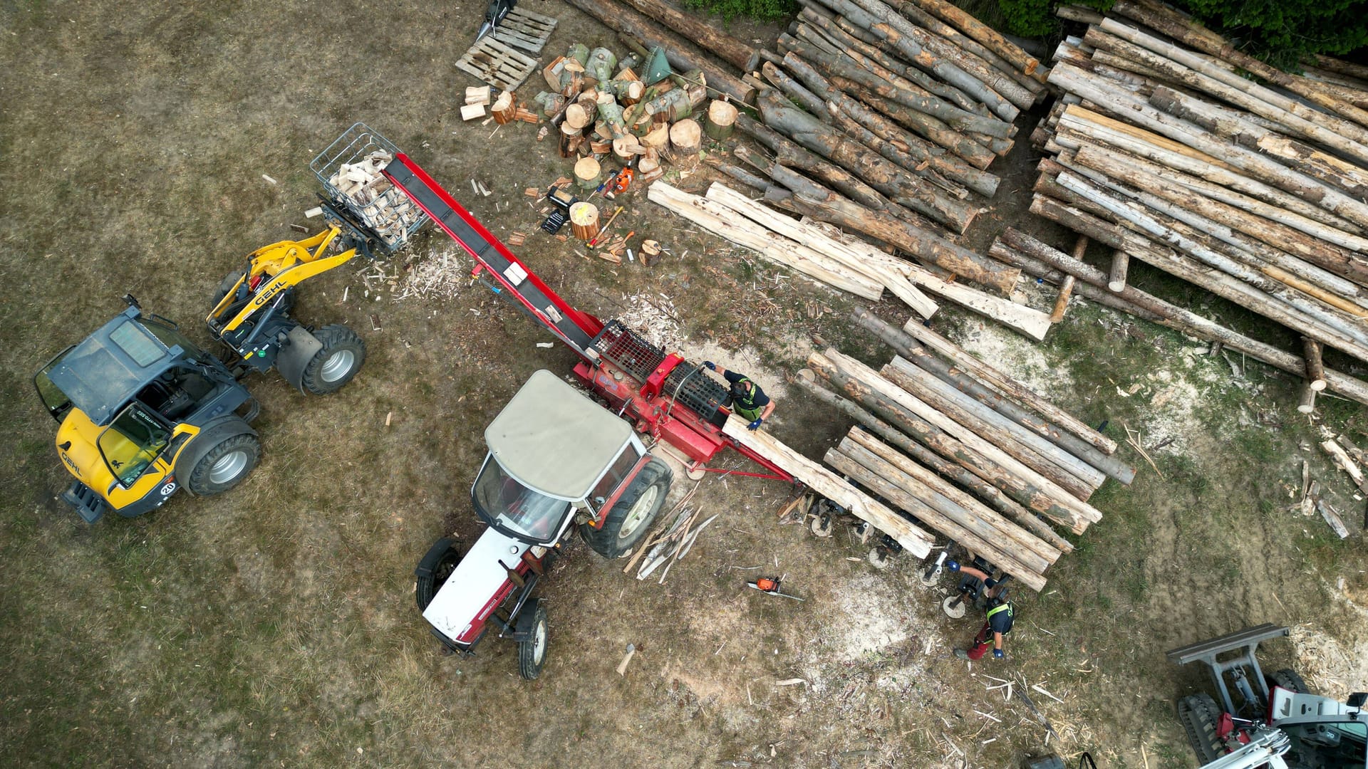 Holz wird in einem Wald gemacht (Symbolfoto): Je besser das Holz verarbeitet wurde, desto beliebter ist es bei Dieben. Doch die schrecken auch vor ganzen Stämmen nicht zurück.