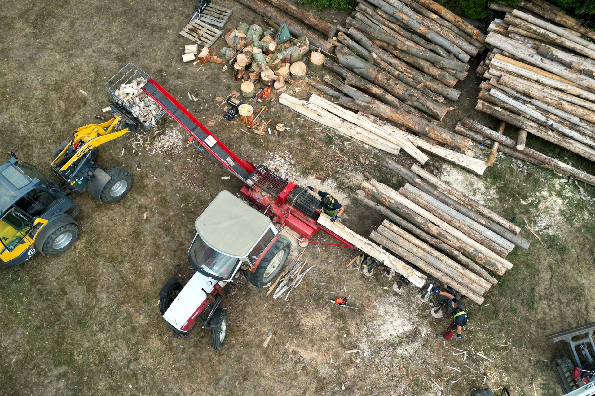 Holz wird in einem Wald gemacht (Symbolfoto): Je besser das Holz verarbeitet wurde, desto beliebter ist es bei Dieben. Doch die schrecken auch vor ganzen Stämmen nicht zurück.