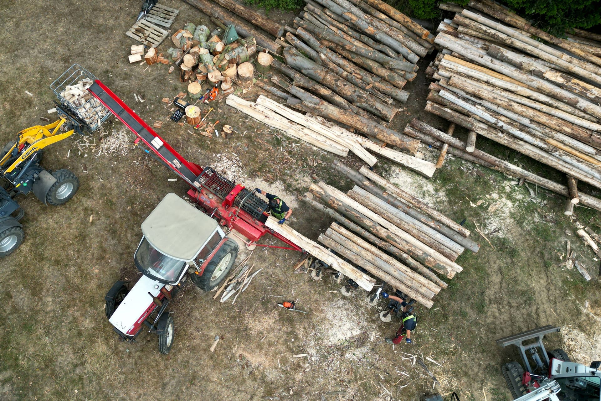 Holz wird in einem Wald gemacht (Symbolfoto): Je besser das Holz verarbeitet wurde, desto beliebter ist es bei Dieben. Doch die schrecken auch vor ganzen Stämmen nicht zurück.