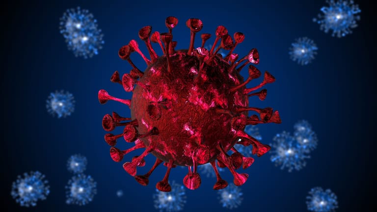Darstellung des Coronavirus: Neue Hinweise zum Ursprung des Virus.