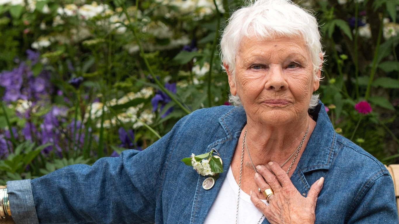 Judi Dench: Die Schauspielerin leidet an einer unheilbaren Krankheit.