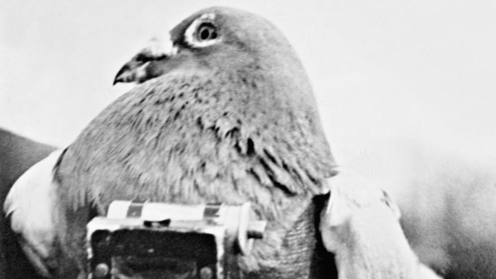 1903: Als Tauben als Drohnen eingesetzt wurden