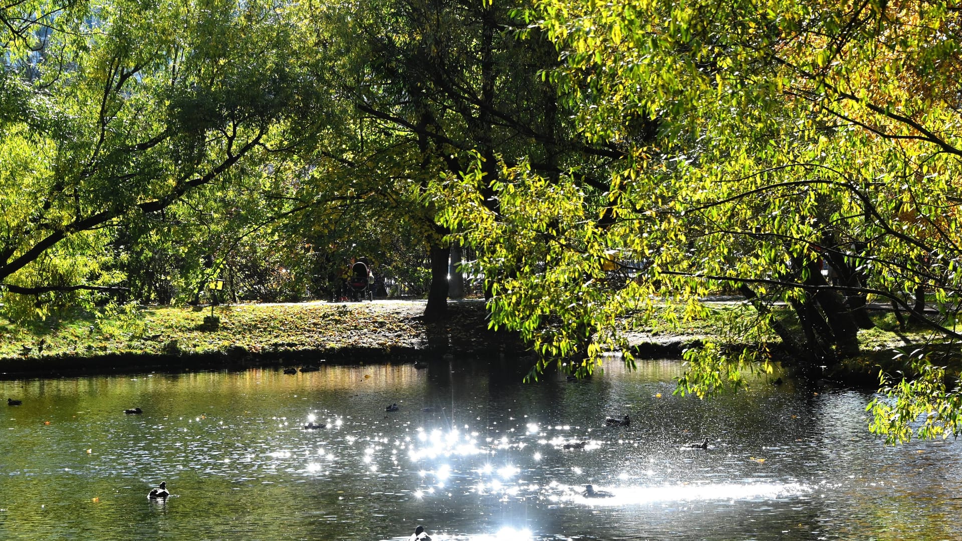 Teich in einem Park (Symbolbild): Das Kind ist wohl ertrunken.