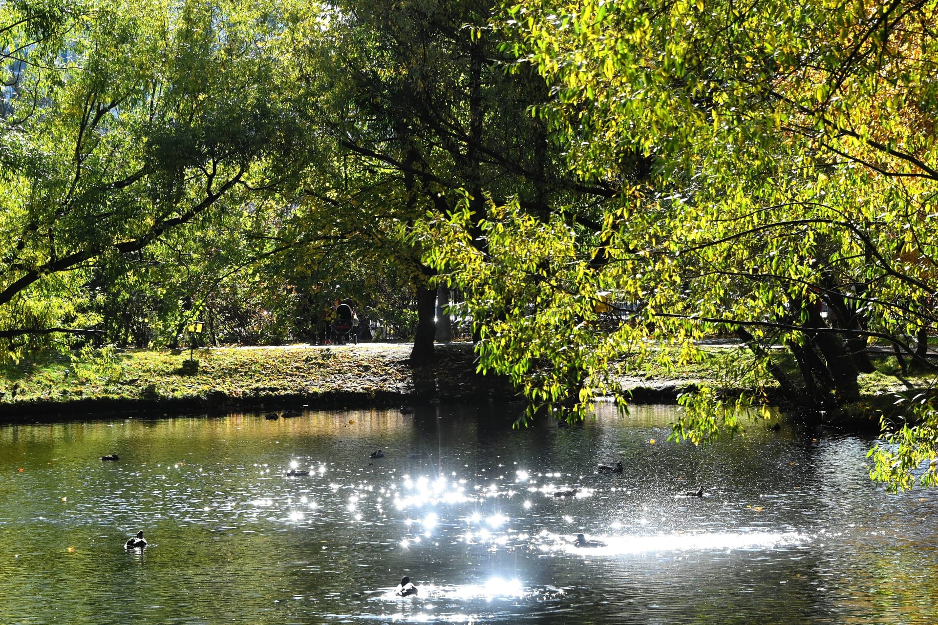 Teich in einem Park (Symbolbild): Das Kind ist wohl ertrunken.