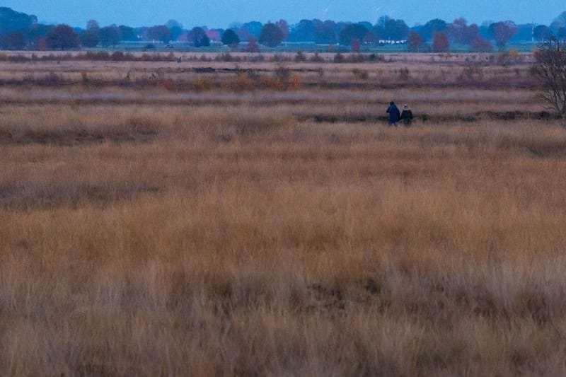 Ein Paar geht im Moor spazieren (Archivbild): Landwirtschaftliche Nutzflächen könnten bis zu 2,5 Milliarden Euro an Wert verlieren.