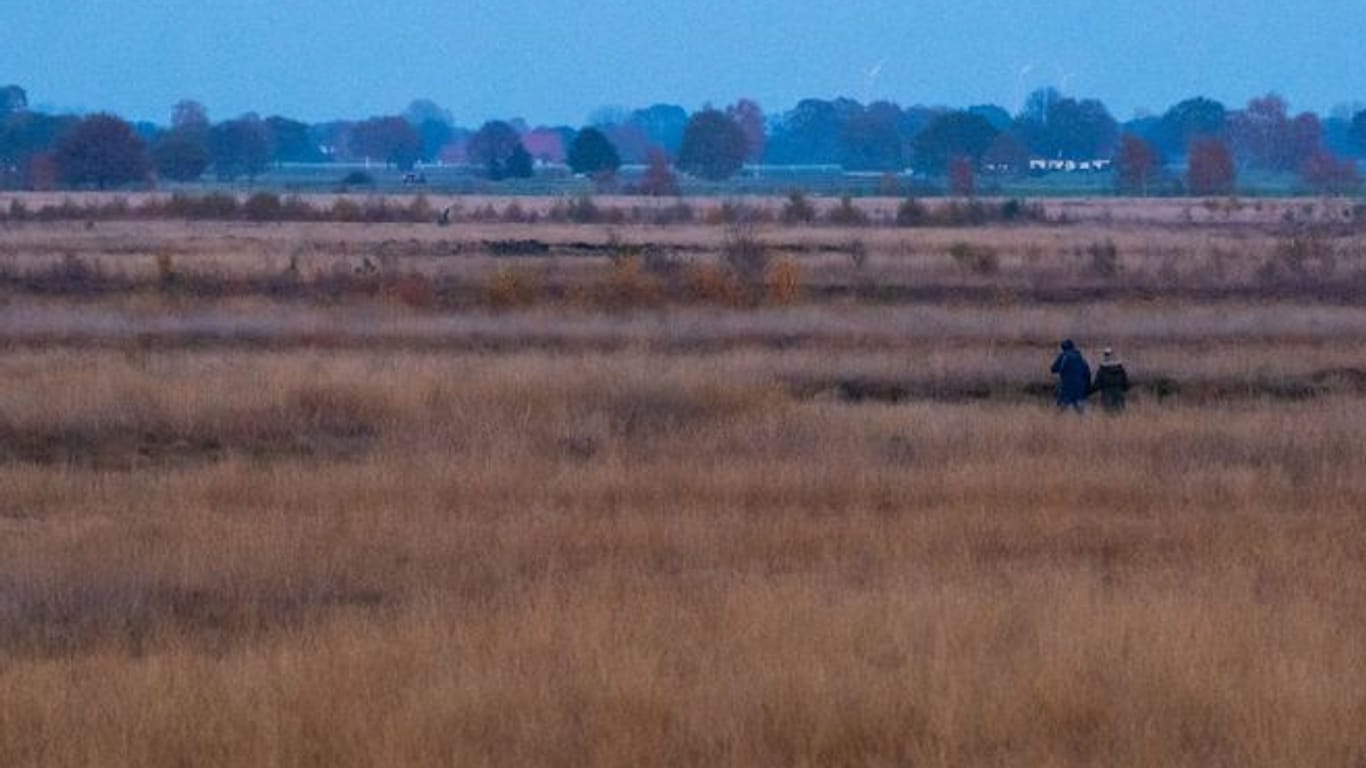 Ein Paar geht im Moor spazieren (Archivbild): Landwirtschaftliche Nutzflächen könnten bis zu 2,5 Milliarden Euro an Wert verlieren.