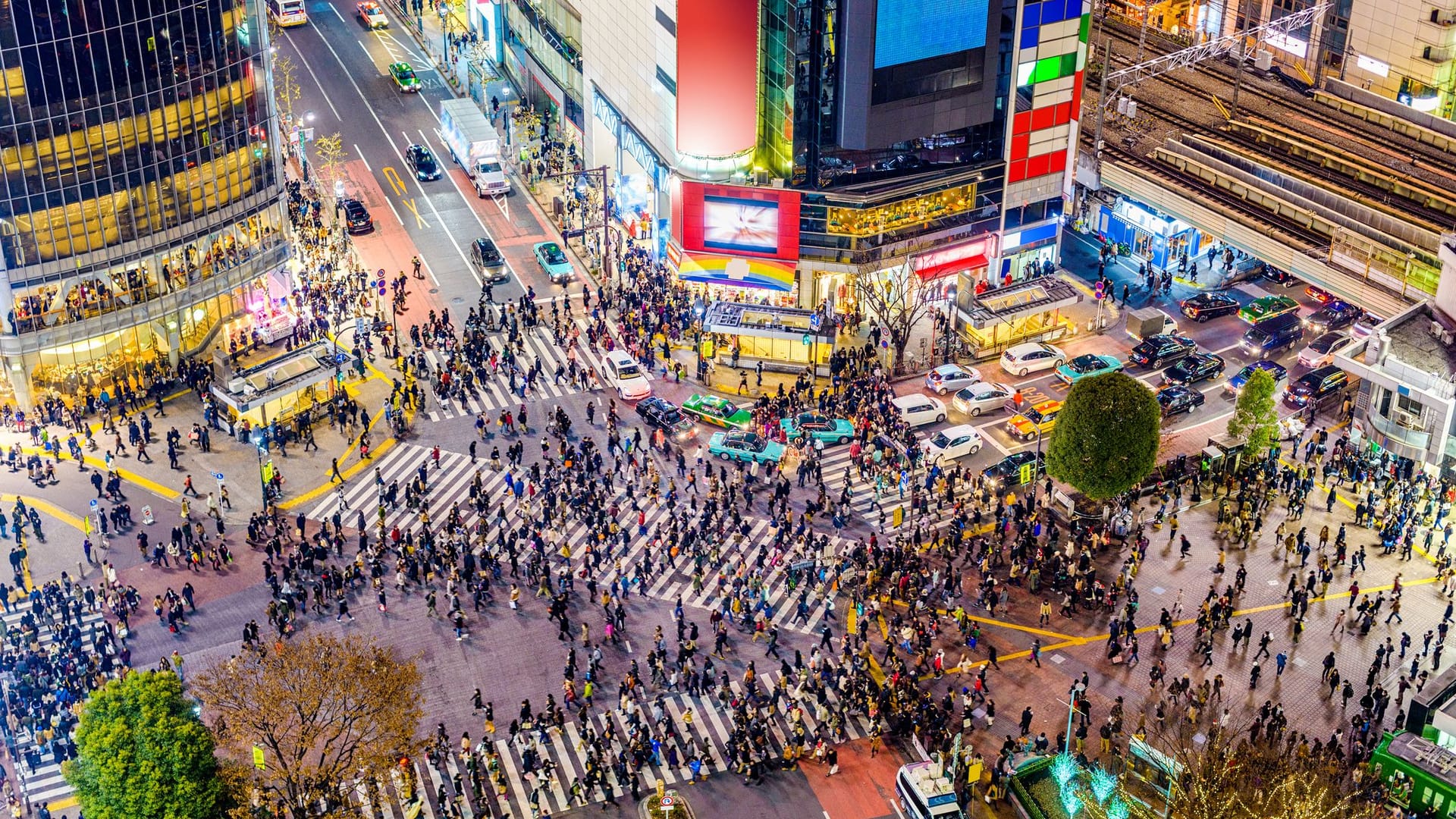 Tokio: Die Kreuzung in Shibuya, einem von Tokios meistbesuchten Stadtteilen.