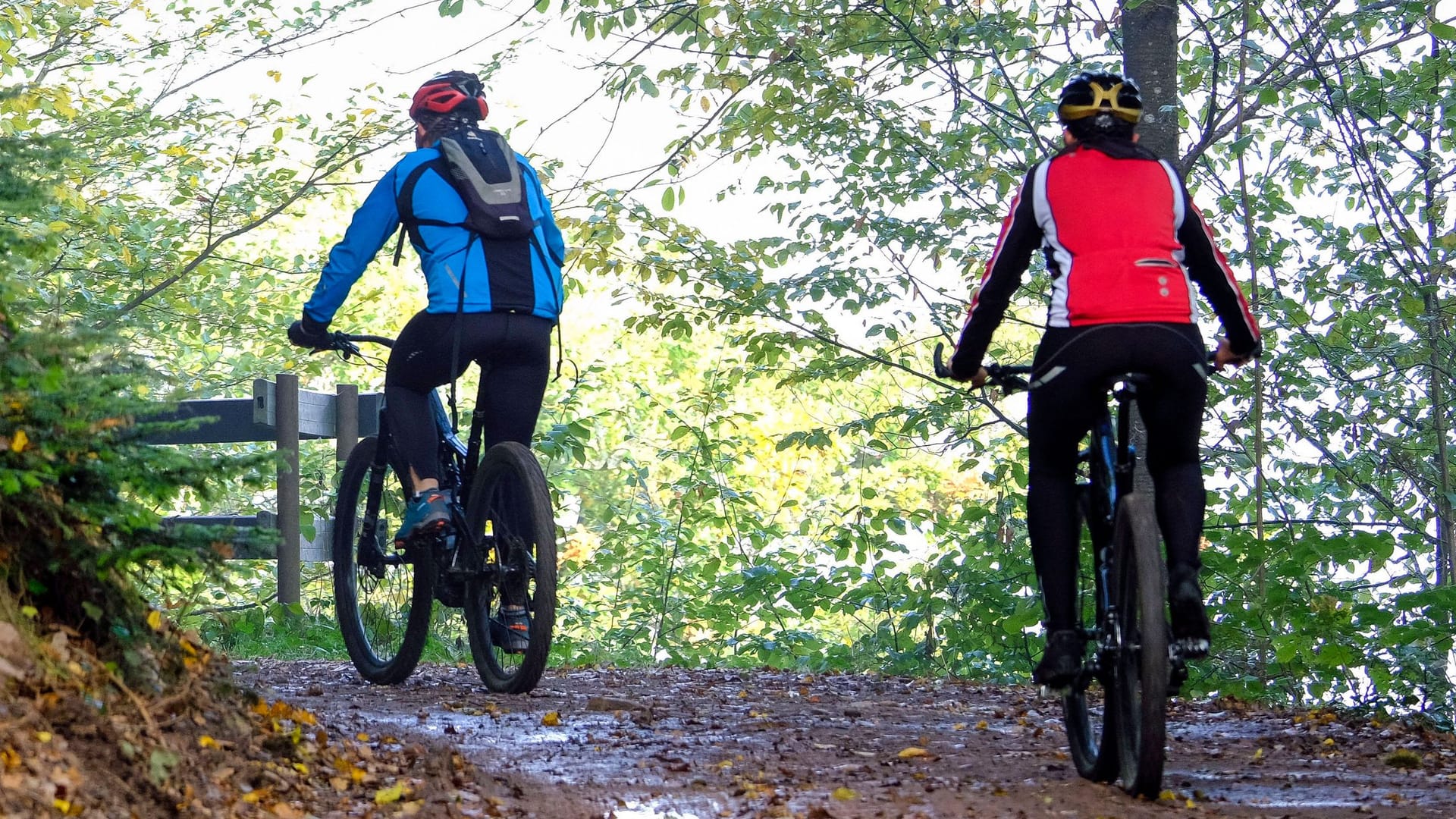 Zwei Mountainbiker unterwegs: Die WHO bemängelt, dass die Deutschen zu träge sind.