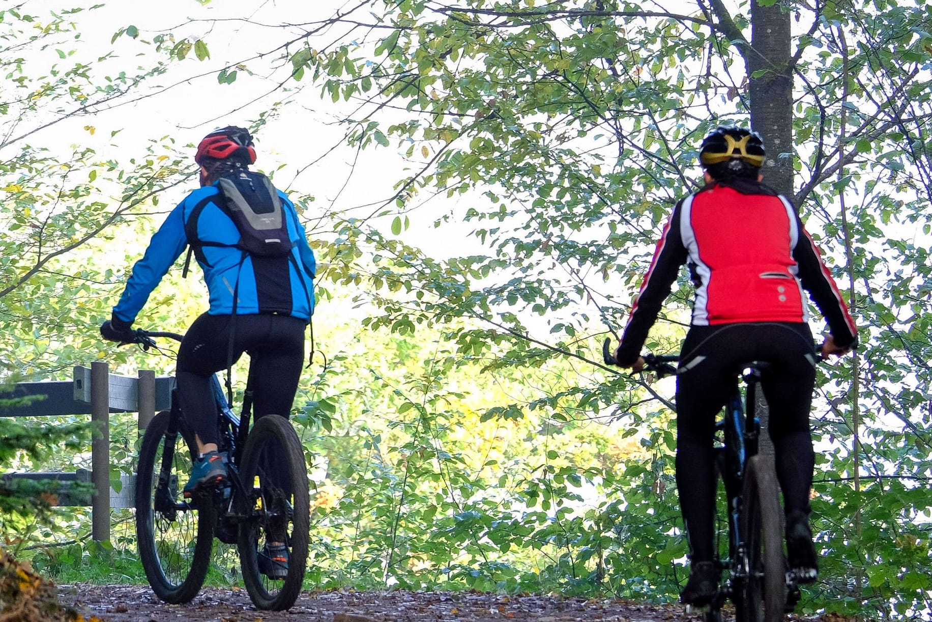 Zwei Mountainbiker unterwegs: Die WHO bemängelt, dass die Deutschen zu träge sind.