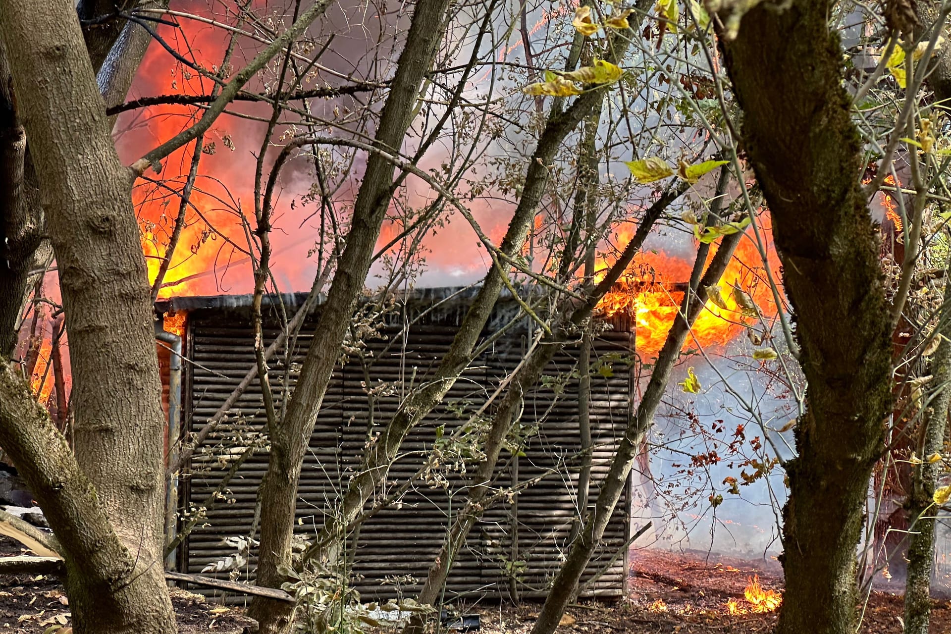 Ein Bungalow steht in Brand: Die Polizei geht inzwischen von Brandstiftung aus.