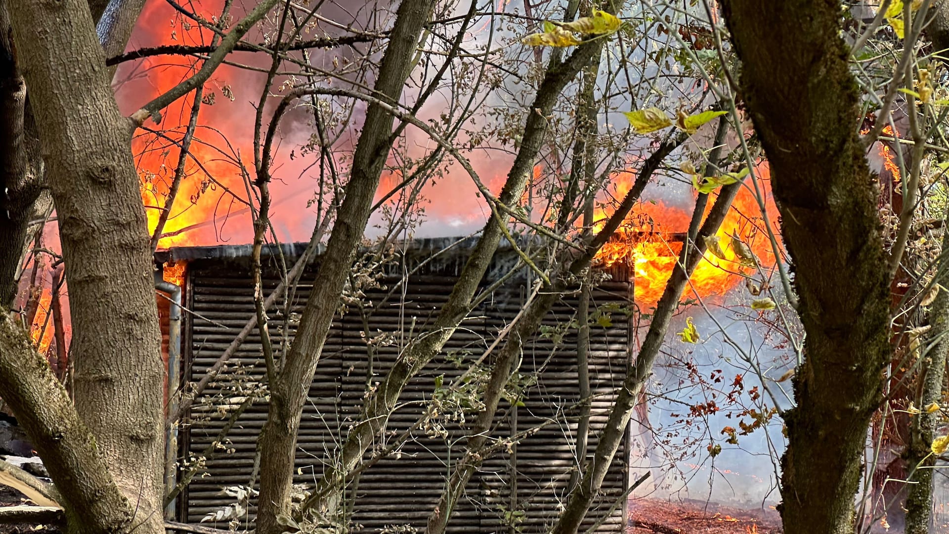 Ein Bungalow steht in Brand: Die Polizei geht inzwischen von Brandstiftung aus.