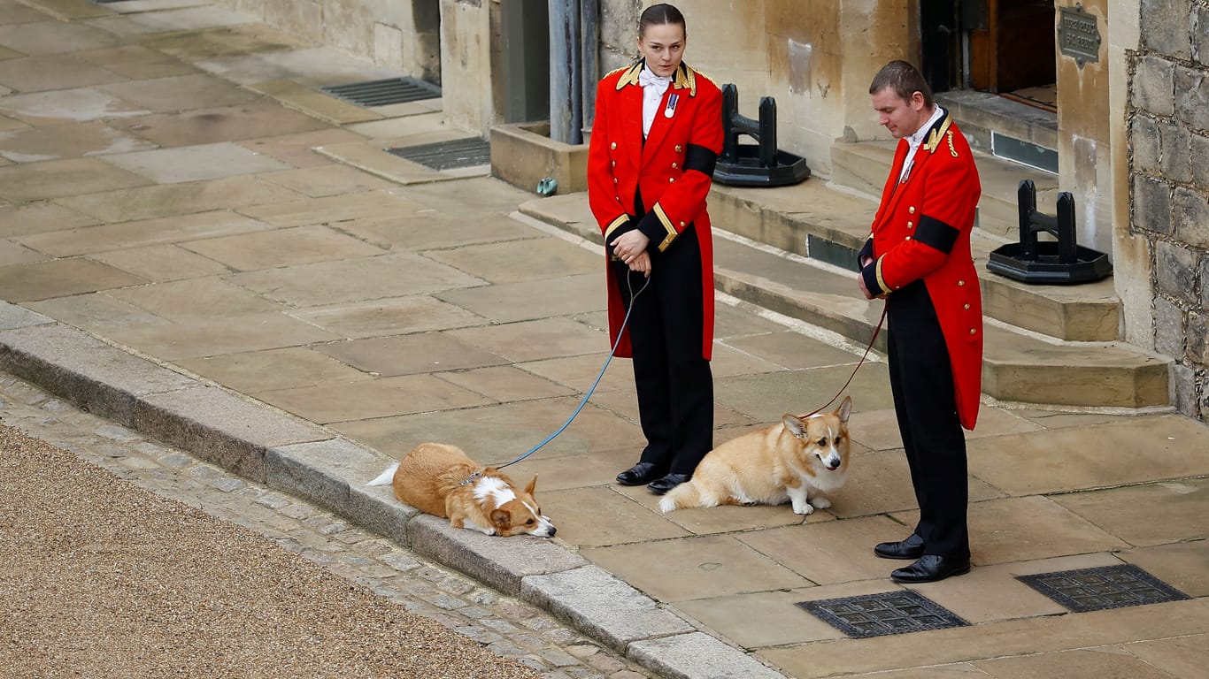 Am Tag des Staatsbegräbnisses: Die Corgis der Queen mit zwei Mitarbeitern der Krone auf Schloss Windsor.