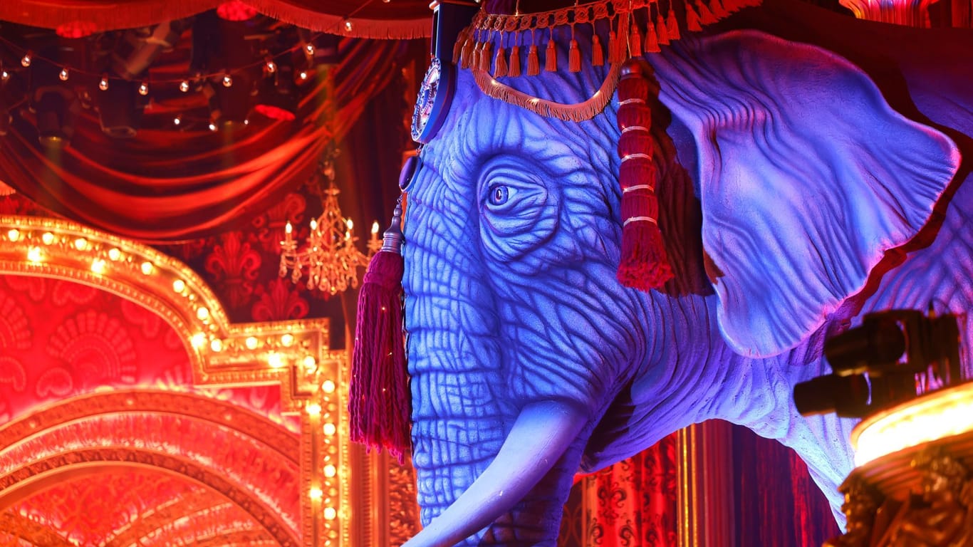 Ein großer, blauer Elefant dominiert das Bühnenbild des Musicals "Moulin Rouge" im Musical Dome: Das Stück hat am 6. November Premiere.