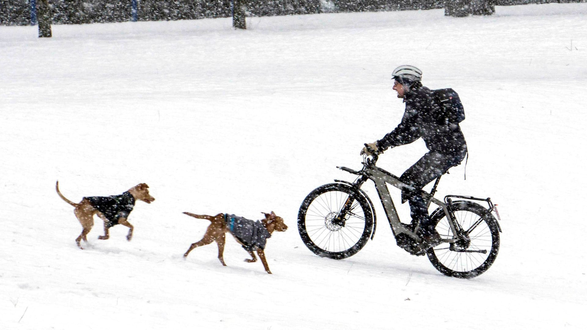 E-Bike im Winter: Gehen Sie besonders beim Anfahren behutsam mit der Leistung des Elektromotors um – Experten empfehlen, je nach Untergrund dabei den Motor auszuschalten.