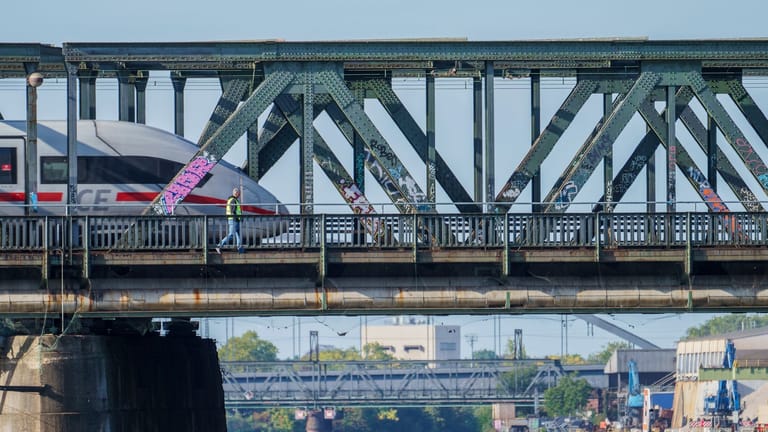 Ein Zug fährt über die Main-Neckar-Brücke (Archivbild): Die Ermittler suchen Zeugen, die den Verantwortlichen gesehen haben.