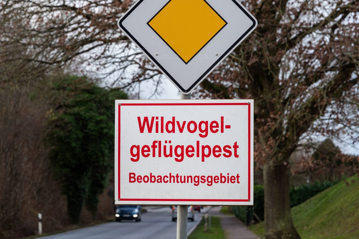 Leipzig: Geflügelschau Lipsia darf kein Geflügel zeigen