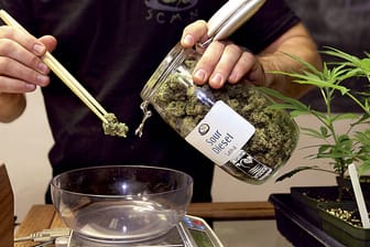 Marihuana-Verkauf in den USA: So könnte s bald auch in deutschen Geschäften laufen.