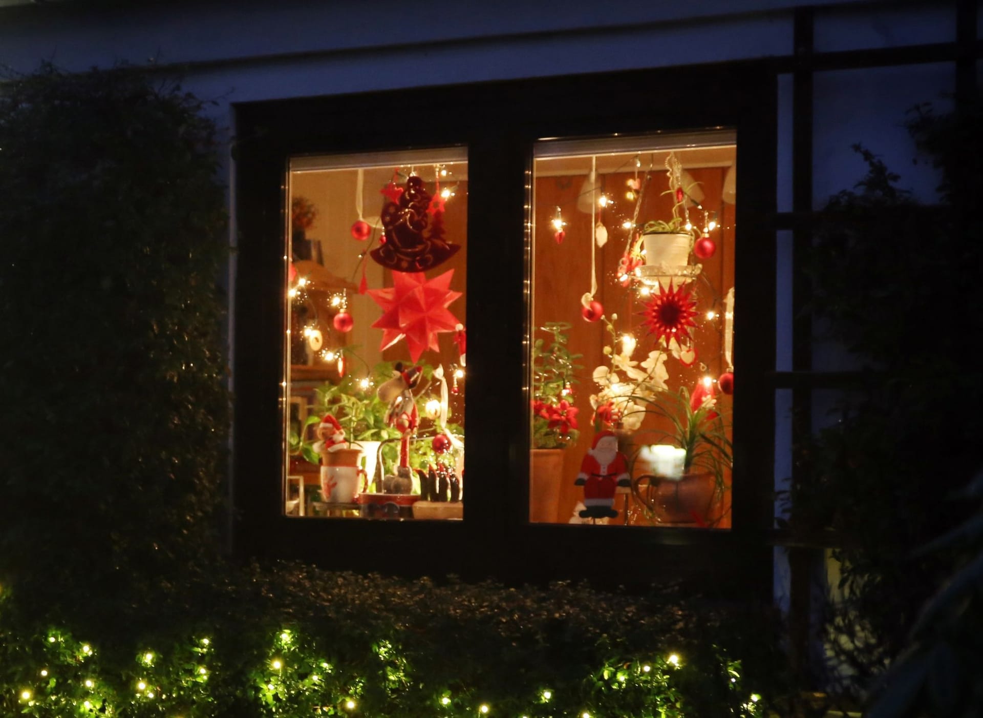 Stromsparende Alternative: Wer jetzt schon an die vorweihnachtliche Beleuchtung denkt, kann auf stromsparende LEDs umsatteln.