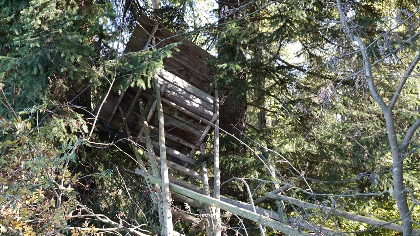 Ein Hochsitz im Chiemgau (Archivbild): Nachdem ein Gemeinderat ein umstrittenes Schild aufgehängt hatte, wird das Jagdrevier am Chiemsee nun Opfer von Vandalen.