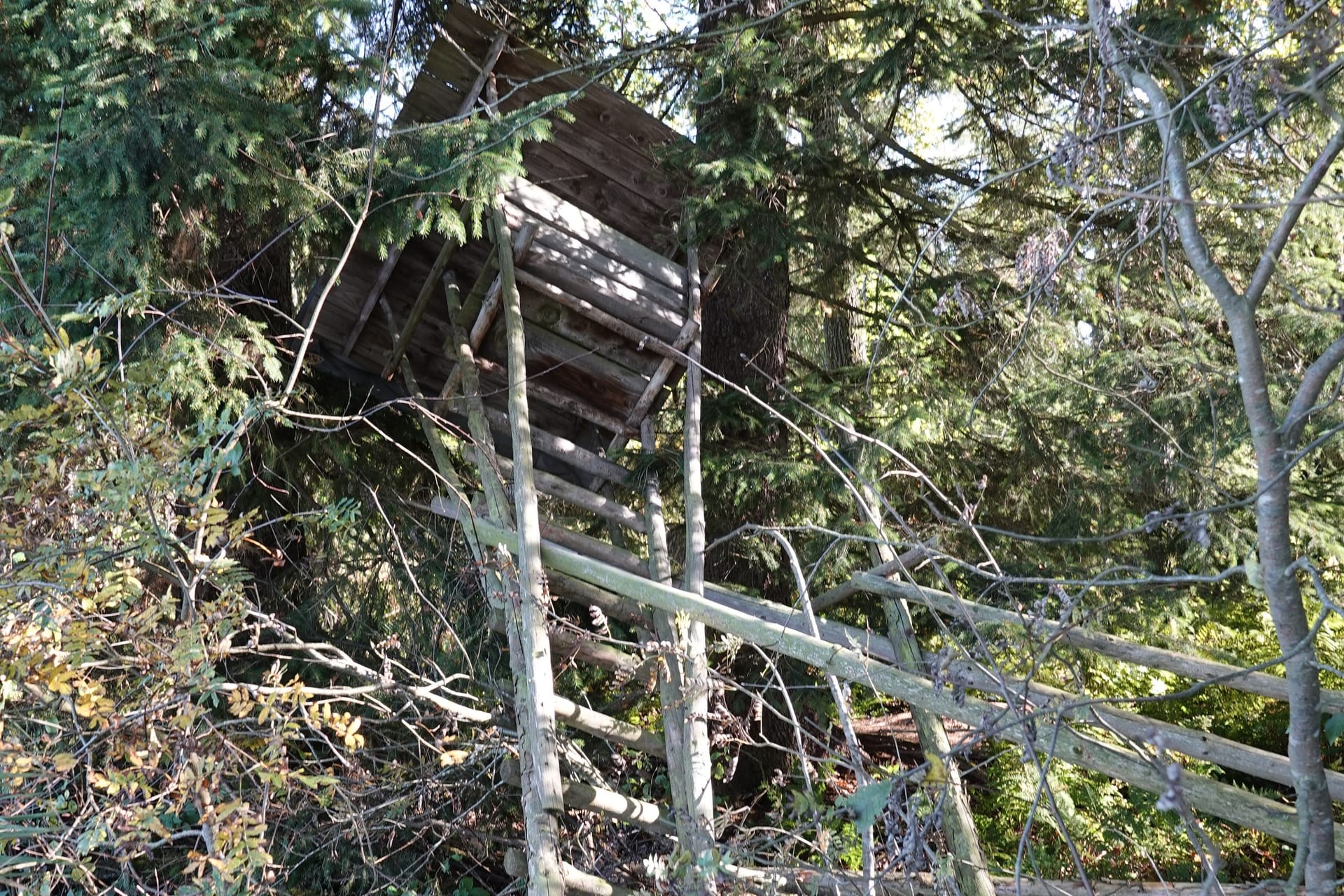 Ein Hochsitz im Chiemgau (Archivbild): Nachdem ein Gemeinderat ein umstrittenes Schild aufgehängt hatte, wird das Jagdrevier am Chiemsee nun Opfer von Vandalen.