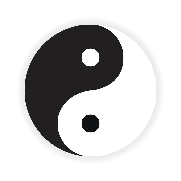 ﻿Die weibliche schwarze Seite (Yin) steht für das passive und die männliche weiße Seite (Yang) für das aktive.