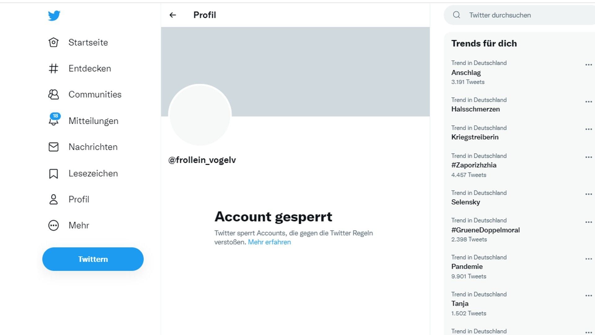 Der gesperrte Account: Seit Mittwoch ist dort nur noch diese rudimentäre Information zu sehen.