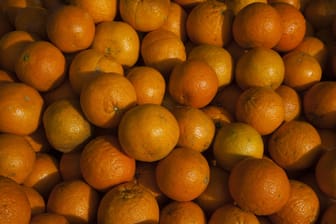 Florida Orangen (Archivbild): Florida war lange Jahre das größte Orangenanbaugebiet in den USA.