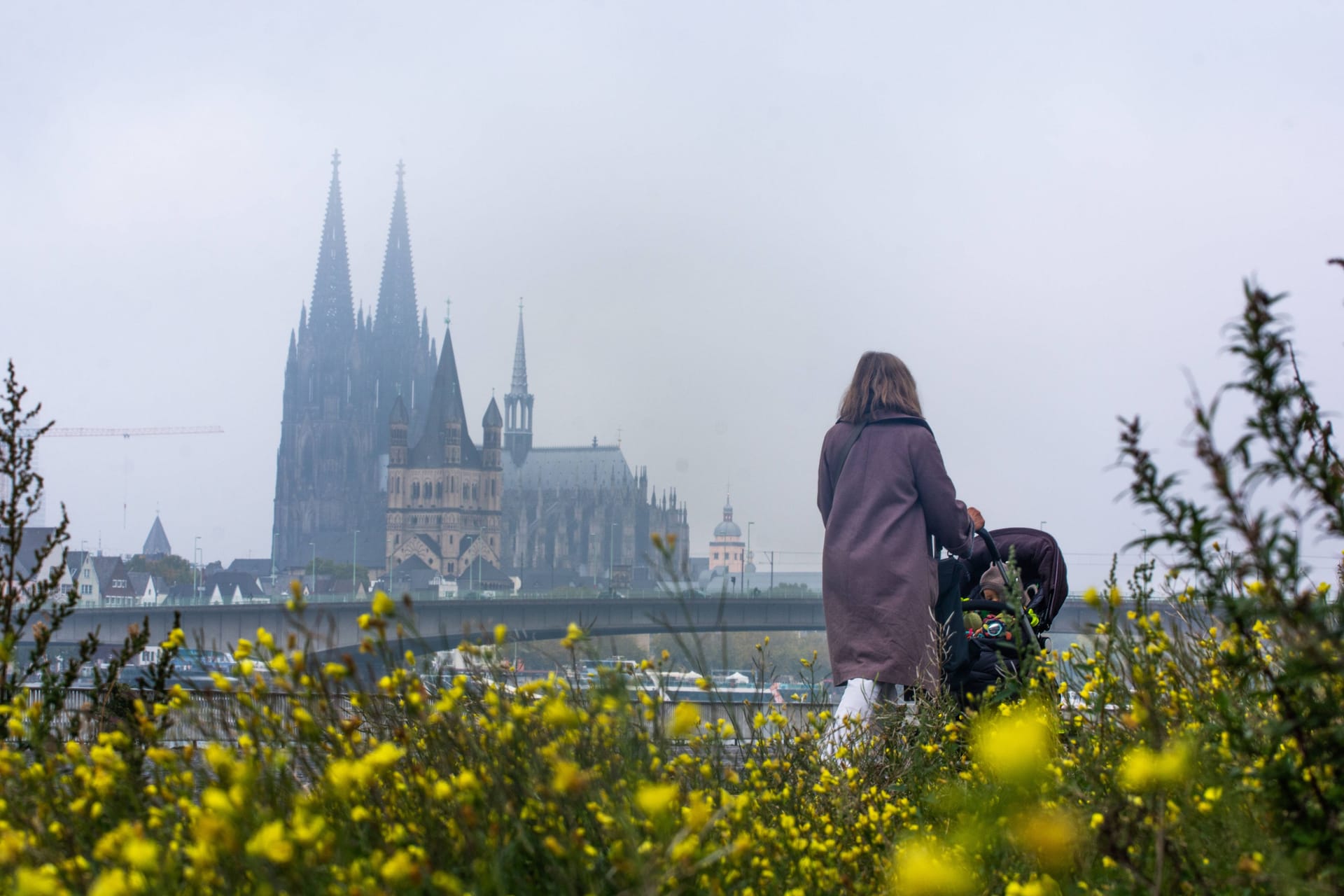 Nebliges Wetter in Köln: Bereits am Donnerstag ziehen im Nordwesten dichte Wolken auf.