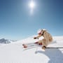 Skifahren in München: So können Skifahrer mit gebrauchten Ski sparen