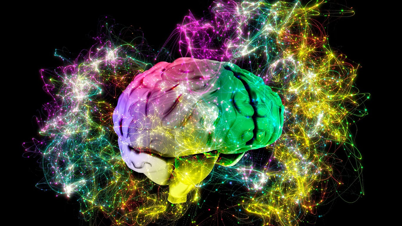 Unser Gehirn: Wie schlau sind Sie?