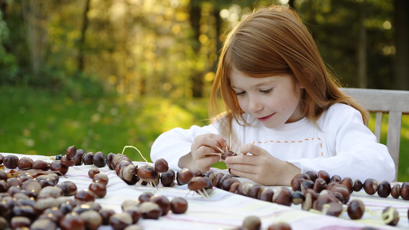 Ein Mädchen bastelt mit Kastanien (Archivbild): Die Nüsse sind vielseitig verwendbar.