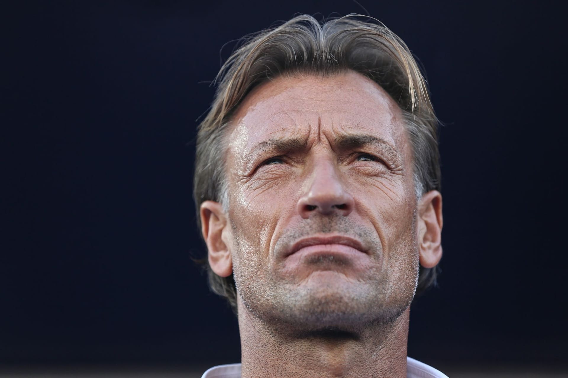 Hervé Renard