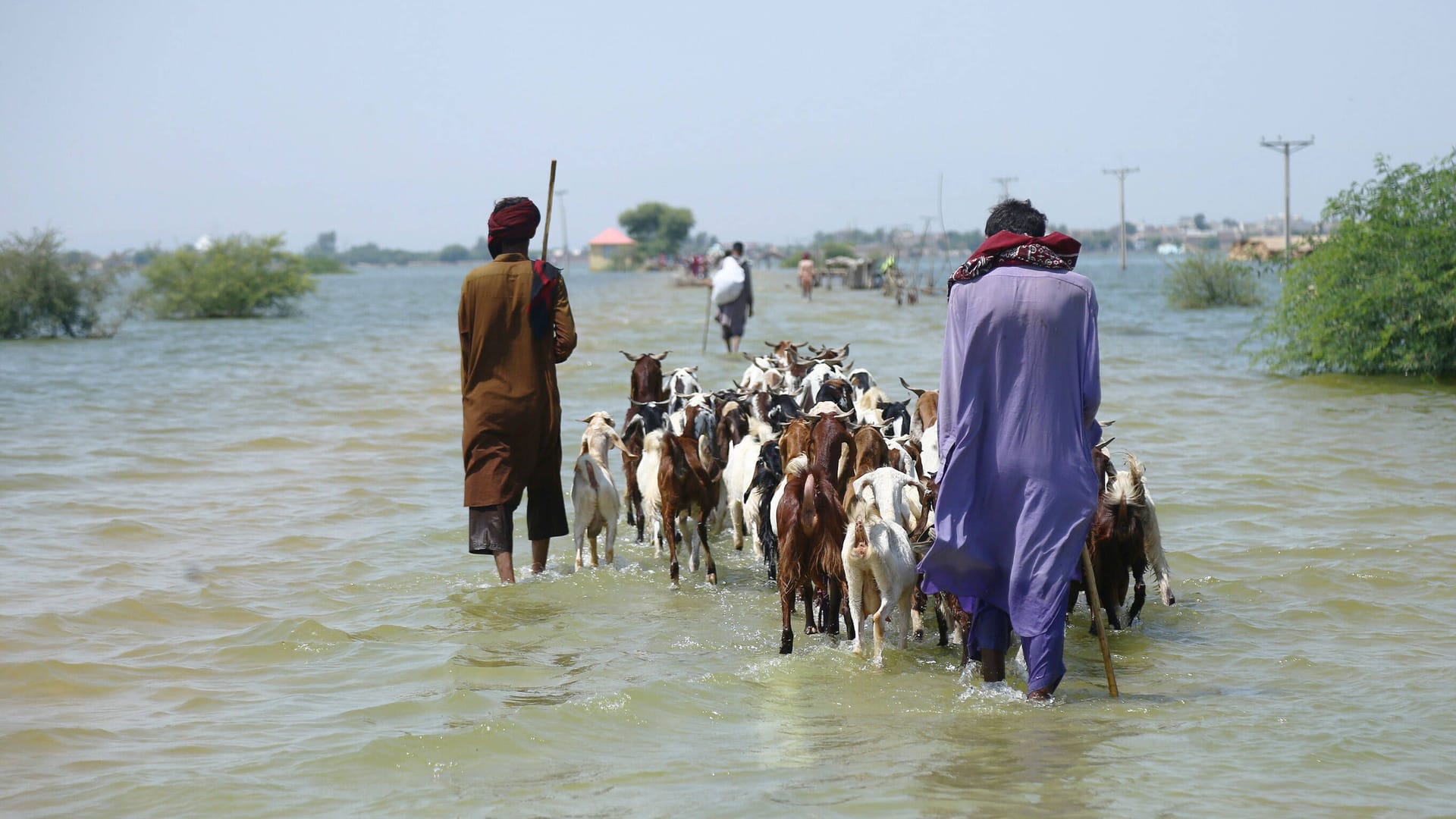 Noch immer stehen Teile Pakistans unter Wasser, viele Familien leben in Zelten, nachdem sie ihre Dörfer verlassen mussten.