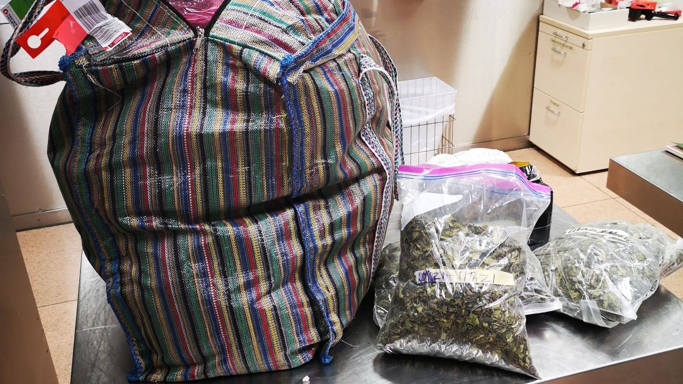 Reisetasche aus Kunststoff bis oben hin mit der Kaudroge Khat gefüllt